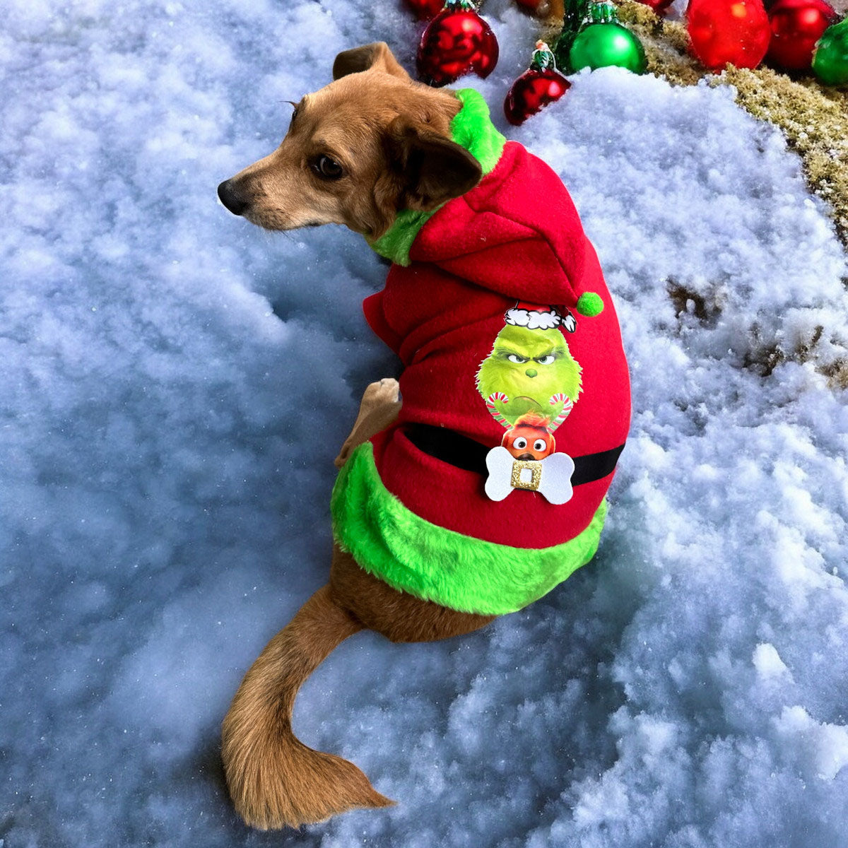 Traje El Grinch para Mascotas