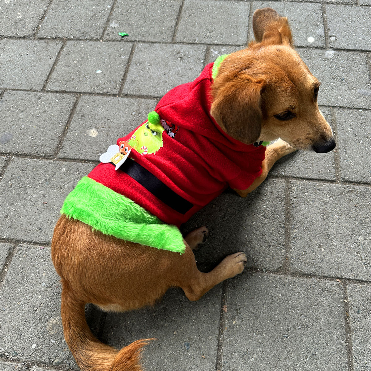 Traje El Grinch para Mascotas