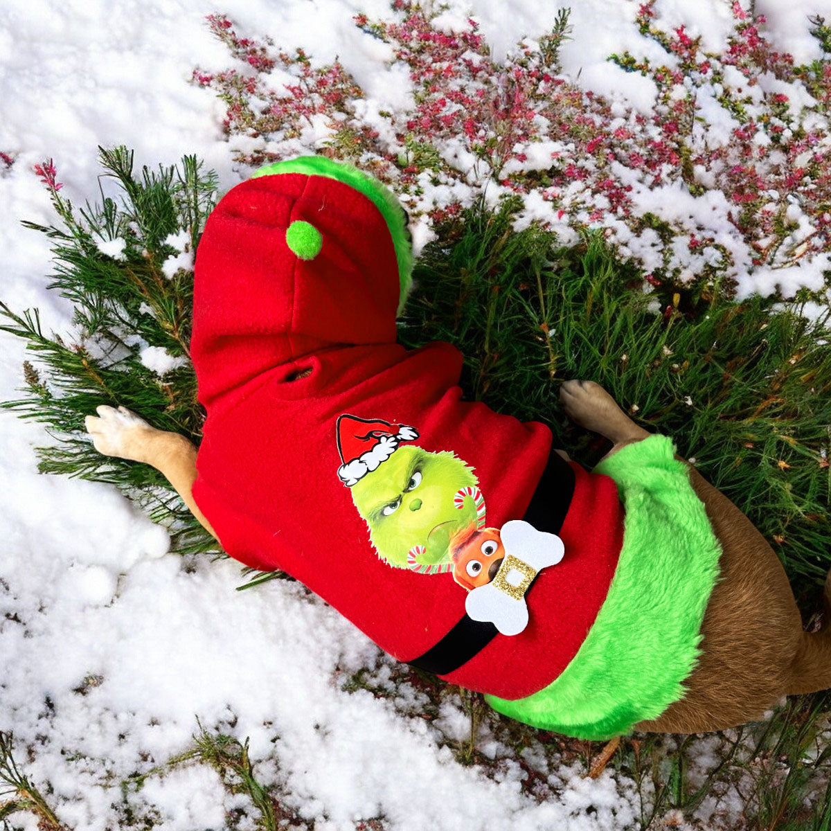 Traje El Grinch para Mascotas